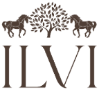 İlvi